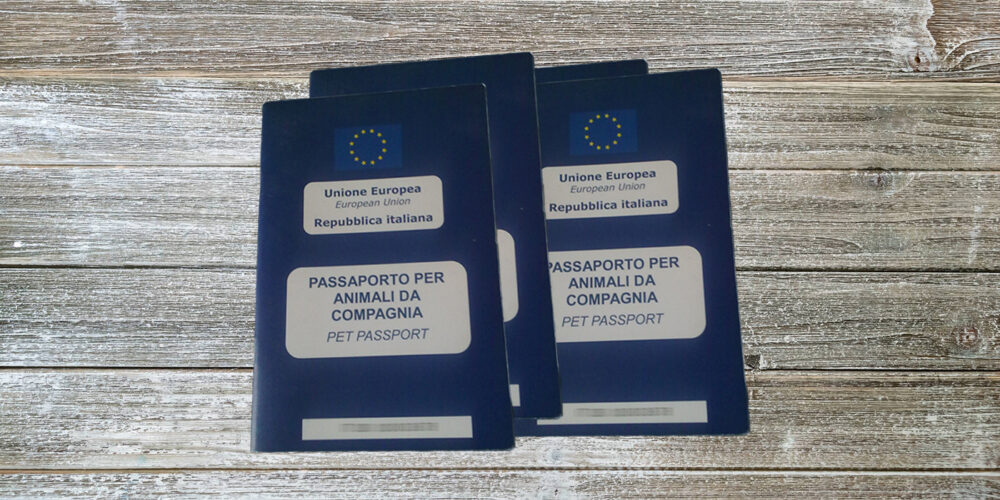 Passaporto