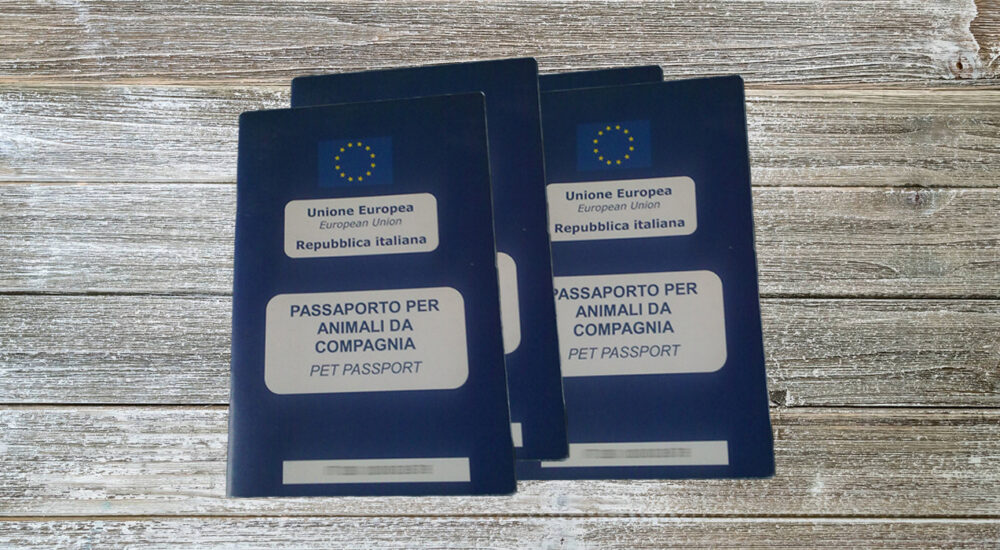 Passaporto