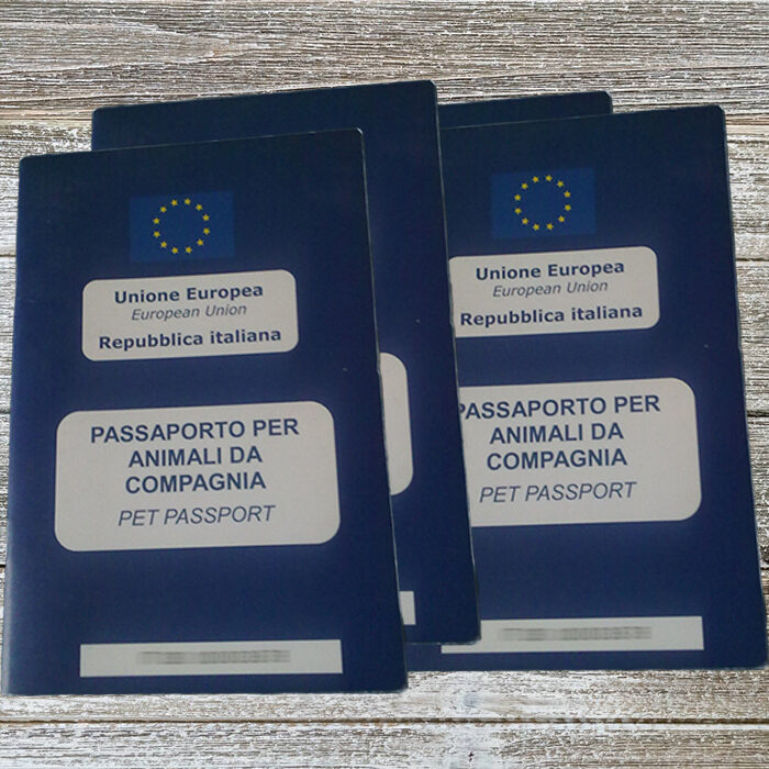 Passaporto